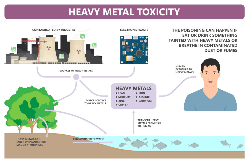 Heavy Metal and Cancer