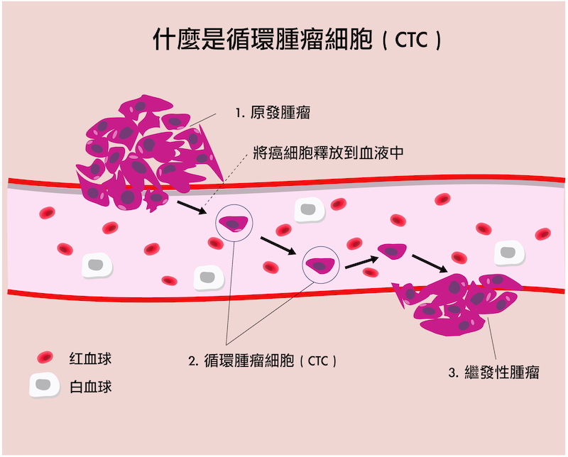 Circulating Tumor Cell Test Hong Kong BMS CLINIC